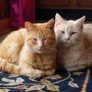 Meet your Posher, Valerie